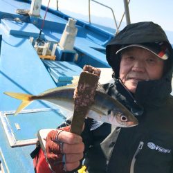 ヤザワ渡船 釣果