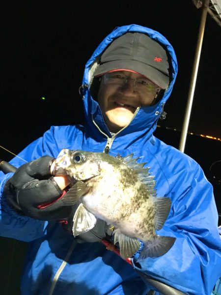 ヤザワ渡船 釣果