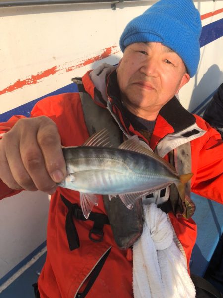 ヤザワ渡船 釣果