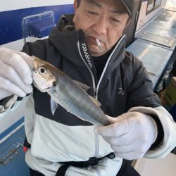 ヤザワ渡船 釣果