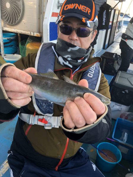 ヤザワ渡船 釣果