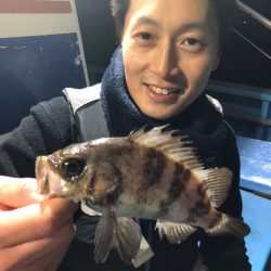 ヤザワ渡船 釣果