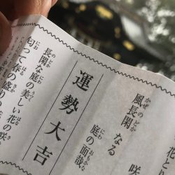 山正丸 釣果