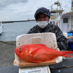 晃山丸 釣果