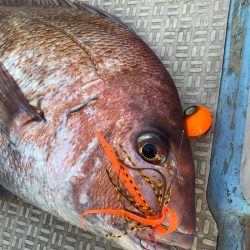 龍神丸（鹿児島） 釣果