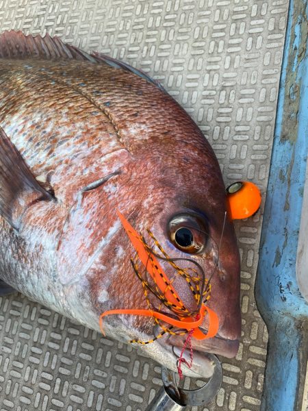 龍神丸（鹿児島） 釣果