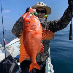 さくら丸 釣果