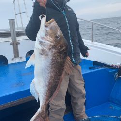 釣鯛洋 釣果