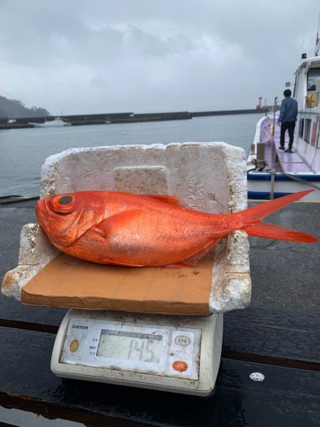 晃山丸 釣果