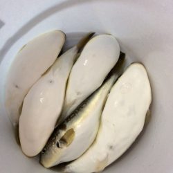 浜栄丸 釣果