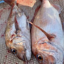 龍神丸（鹿児島） 釣果