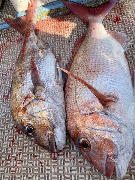 龍神丸（鹿児島） 釣果