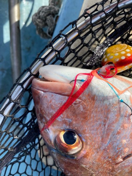 龍神丸（鹿児島） 釣果