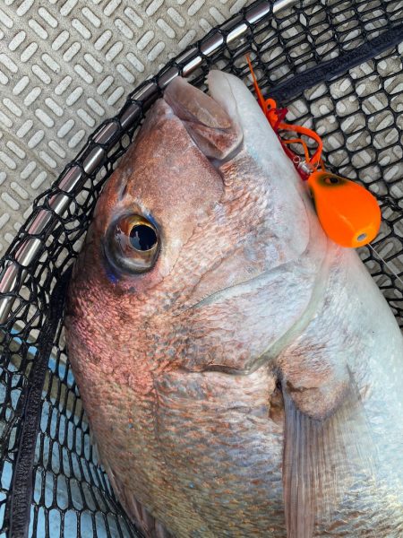 龍神丸（鹿児島） 釣果