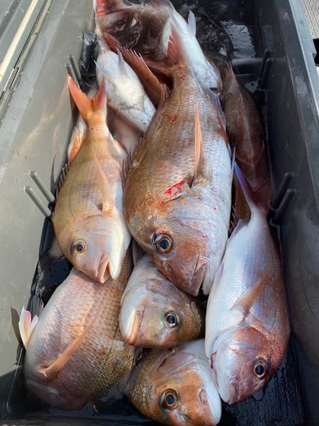 龍神丸（鹿児島） 釣果