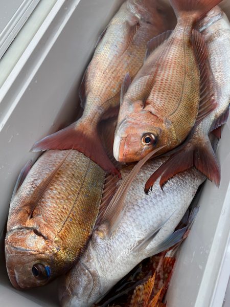 龍神丸（鹿児島） 釣果