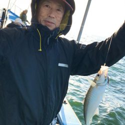 ヤザワ渡船 釣果