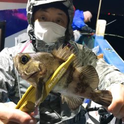 ヤザワ渡船 釣果