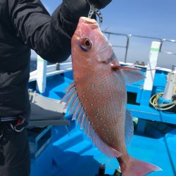 太平丸 釣果