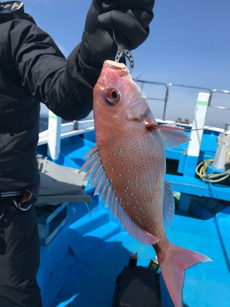 太平丸 釣果