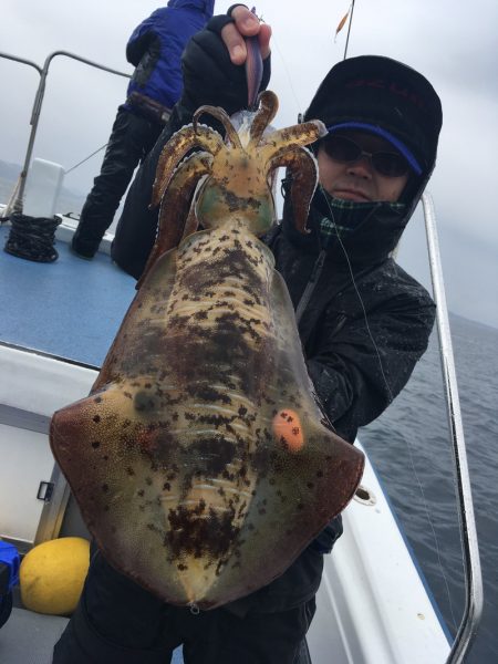 渡船屋たにぐち 釣果