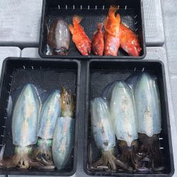 渡船屋たにぐち 釣果