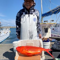 晃山丸 釣果