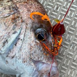 龍神丸（鹿児島） 釣果