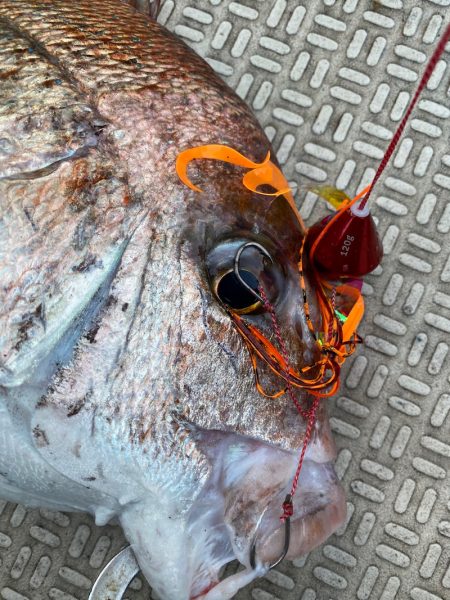 龍神丸（鹿児島） 釣果