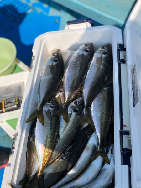 丸万釣船 釣果