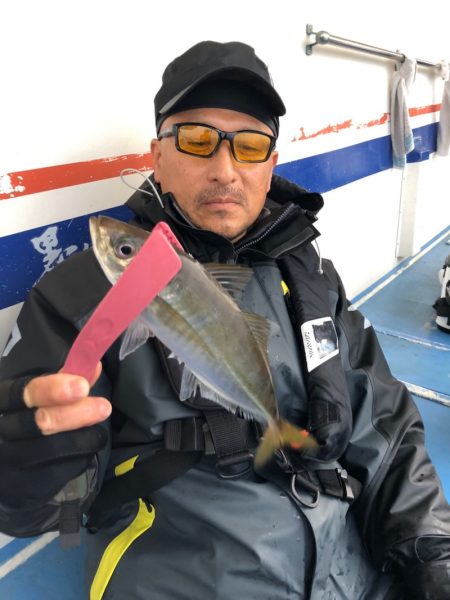 ヤザワ渡船 釣果