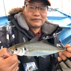 ヤザワ渡船 釣果