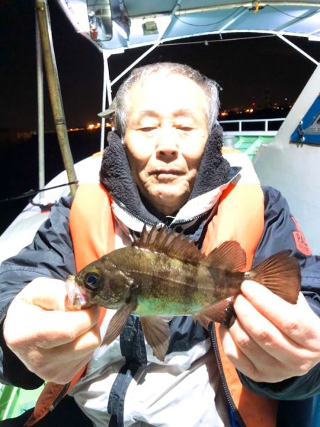 ヤザワ渡船 釣果