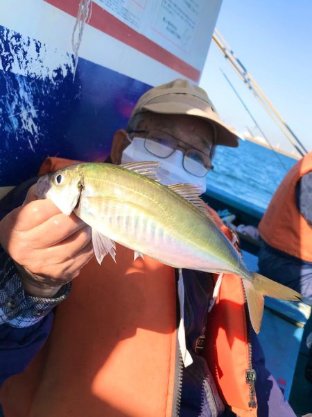 ヤザワ渡船 釣果