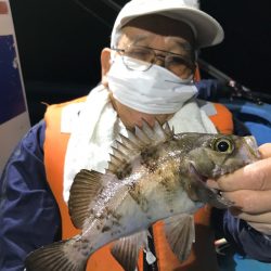 ヤザワ渡船 釣果