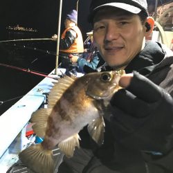 ヤザワ渡船 釣果