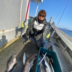 シーランチ 釣果