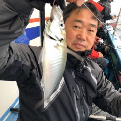 ヤザワ渡船 釣果