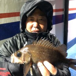 ヤザワ渡船 釣果