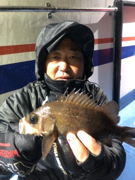 ヤザワ渡船 釣果