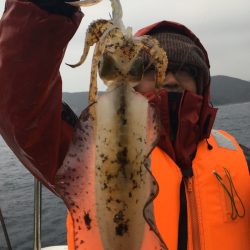 渡船屋たにぐち 釣果