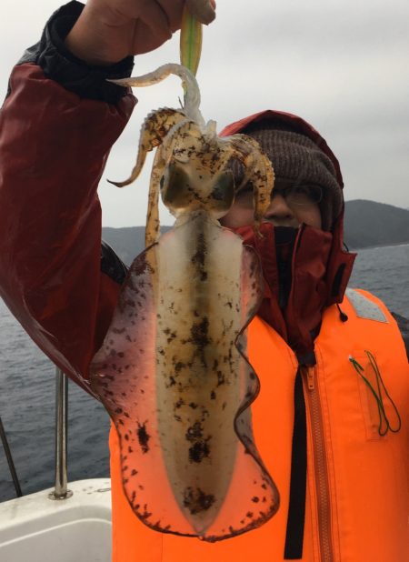 渡船屋たにぐち 釣果