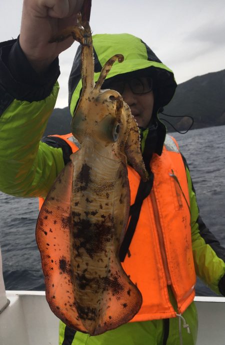 渡船屋たにぐち 釣果