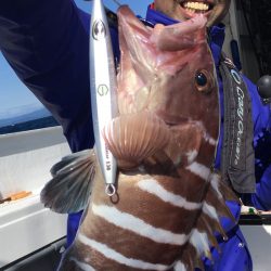 渡船屋たにぐち 釣果