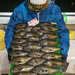 釣人家 釣果