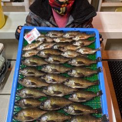 釣人家 釣果