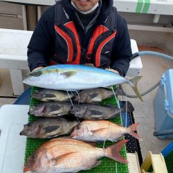 釣人家 釣果