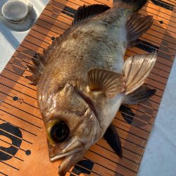 釣人家 釣果