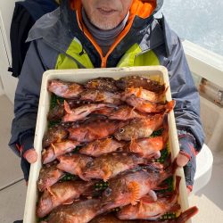 釣人家 釣果