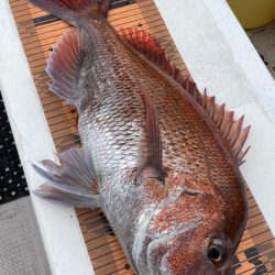 釣人家 釣果